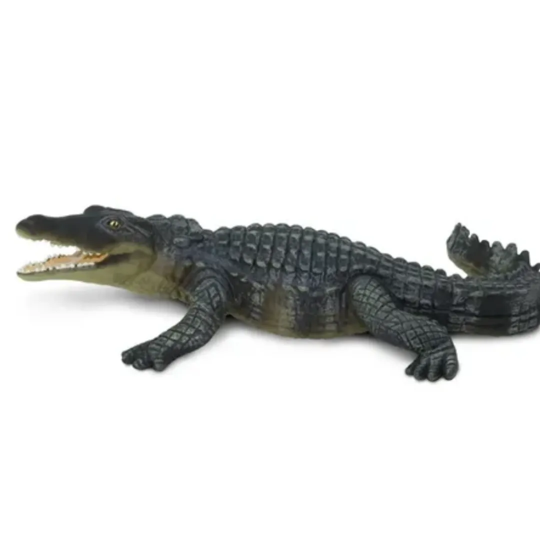 Butterfly Creek Crocodiles | Under $100.00-Alligator Wild Safari