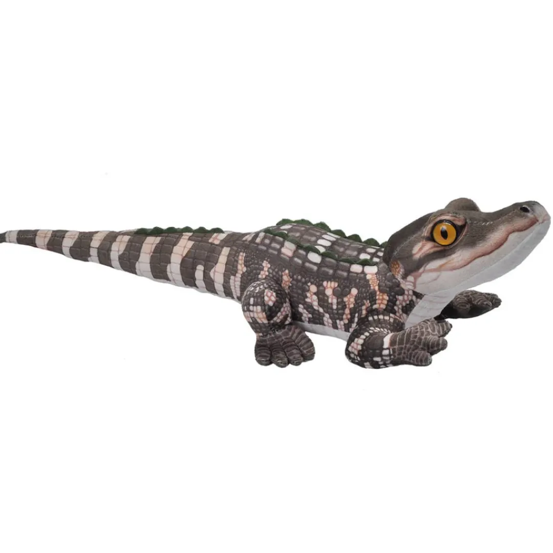 Butterfly Creek Under $50.00 | Under $30.00-Baby Alligator Soft Toy
