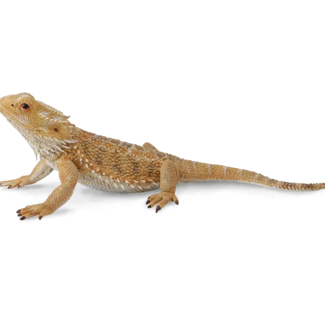 Butterfly Creek Under $100.00 | Under $50.00-Bearded Dragon Lizard Figurine