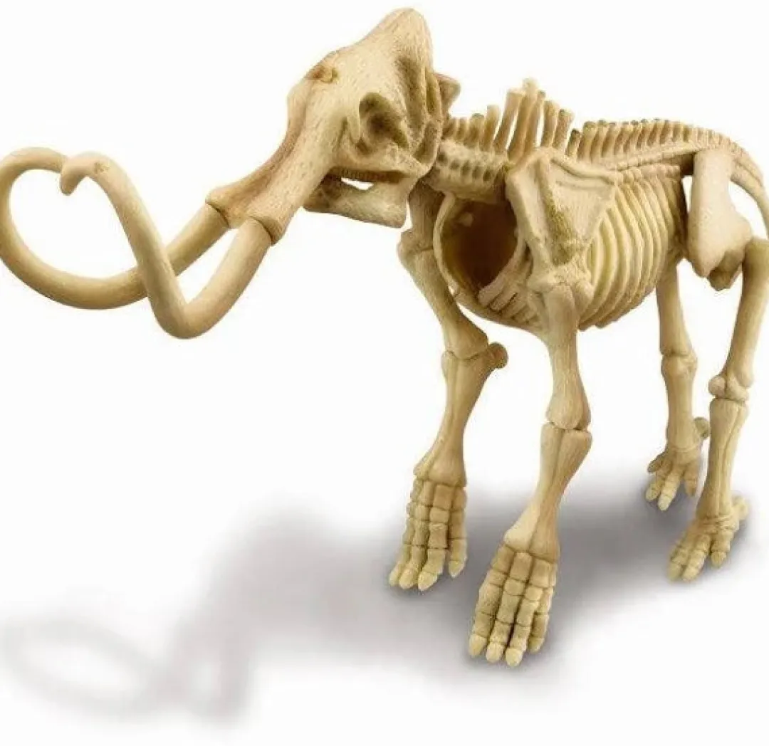 Butterfly Creek Under $100.00 | Under $50.00-Dig A Mammoth Skeleton