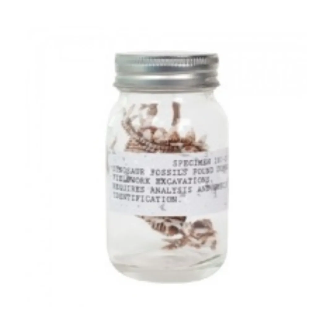 Butterfly Creek Under $100.00 | Under $50.00-Dino Fossils in a Jar