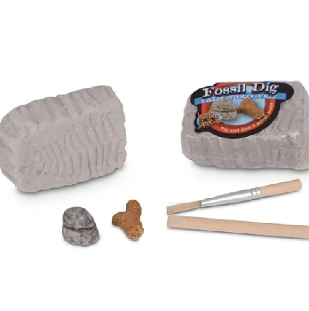 Butterfly Creek Dinosaurs | Under $100.00-Fossil Dig