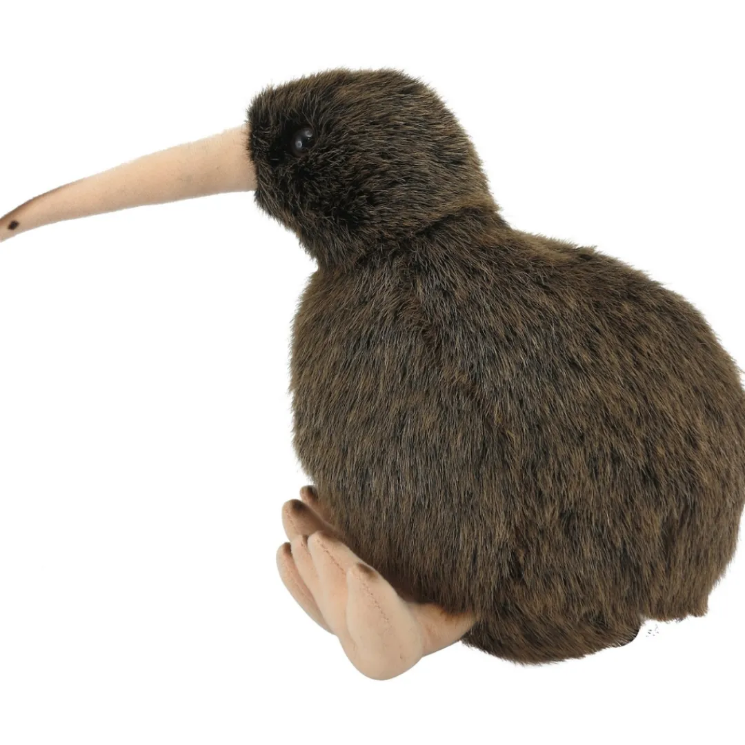 Butterfly Creek New Zealand | Under $100.00-Kiwi XL Nature Sound-AN