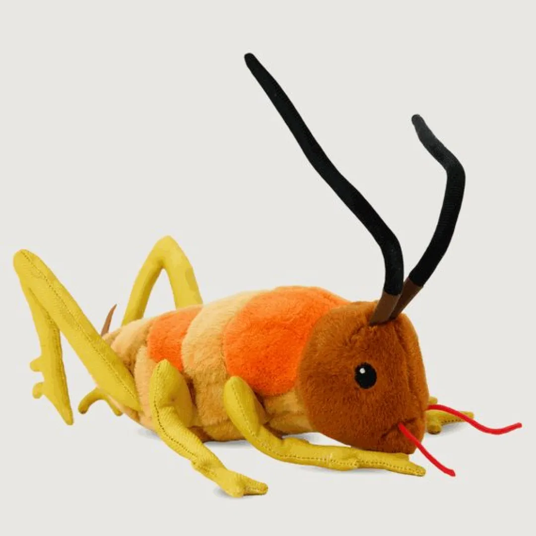 Butterfly Creek Under $100.00 | Under $50.00-Wiremu the Weta Soft Toy