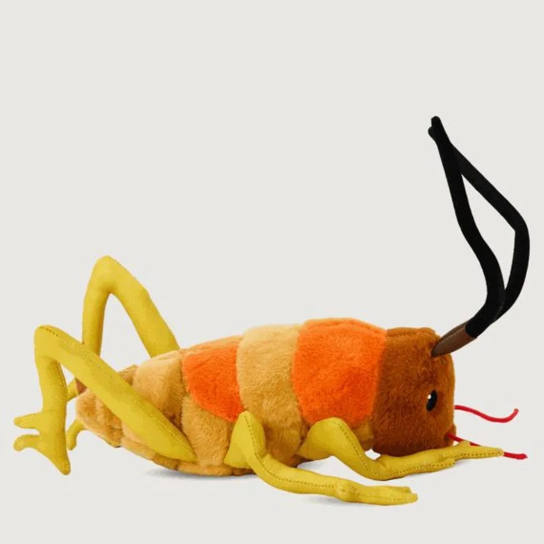 Butterfly Creek Under $100.00 | Under $50.00-Wiremu the Weta Soft Toy